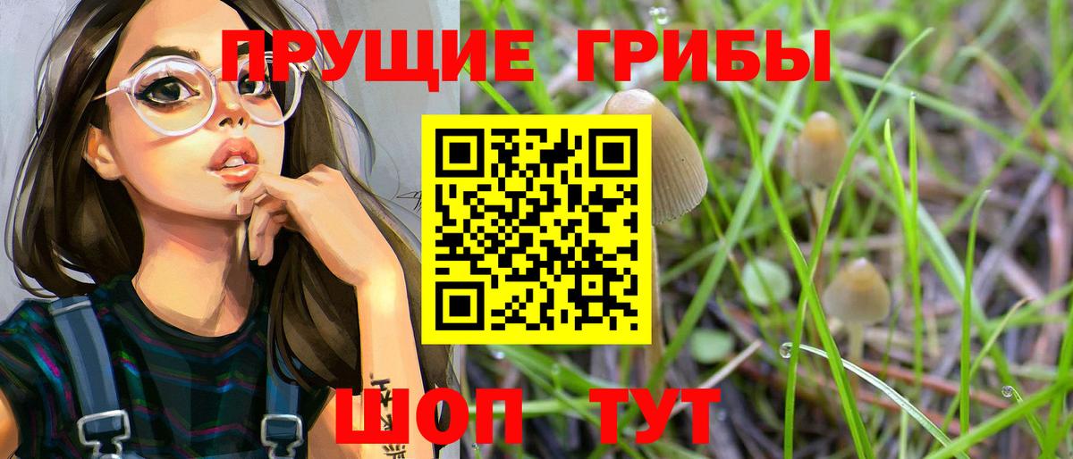 Псилоцибиновые грибы Cubensis Менделеевск