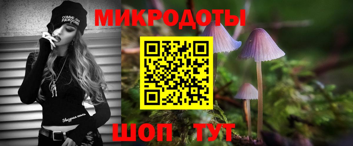 Галлюциногенные грибы прущие грибы  Вход с VPN  Менделеевск 